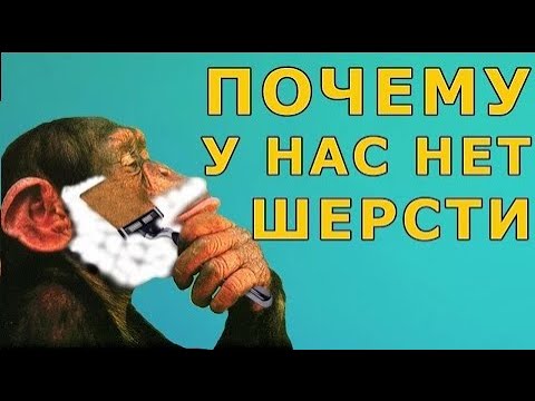 Видео: КАК МЫ ПОТЕРЯЛИ ШЕРСТЬ