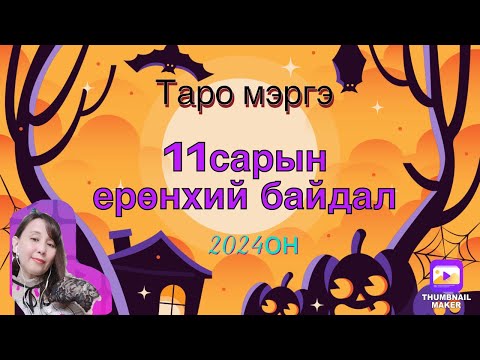 Видео: 11сарын ерөнхий байдал.