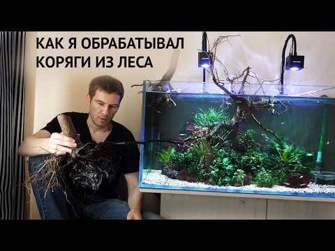 Видео: Как я обрабатывал коряги из леса