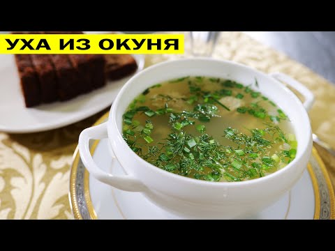 Видео: Уха из окуня. На утро застывает как холодец.