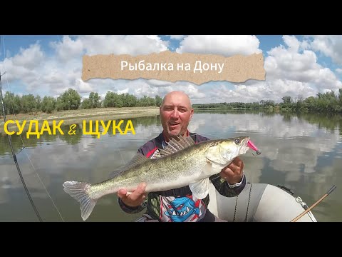 Видео: Рыбалка на Дону  Судак и Щука на джиг