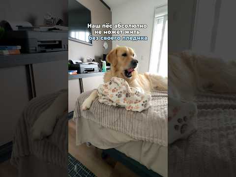 Видео: На это можно смотреть вечно ❤️