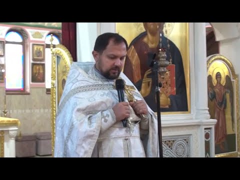 Видео: Дмитриевская родительская суббота (01.11.25)