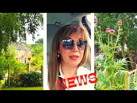 Видео: 621. Английская деревня, семейные отношения и женская дружба.