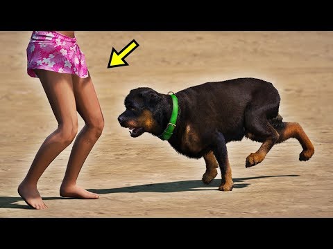 Видео: Чоп Ерке Есмаханды тістеп алды | GTA 5