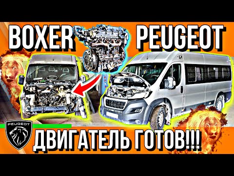 Видео: СБОРКА ДВИГАТЕЛЯ PEUGEOT BOXER///ЕСТЬ НЮАНСЫ