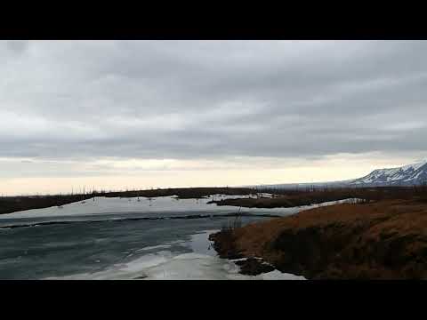 Видео: 2025.06.06. Норильские окрестности. Новый максимум года +14,8. Итоги декады в описании.