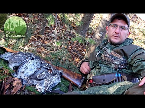 Видео: Рябчики над головой. Вновь полный ягдташ. Охота в Михайловке.
