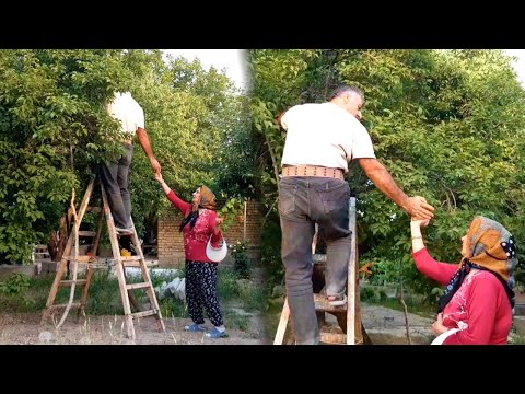 Видео: В погоне за спокойствием: Радость работы в деревне тихим днём.