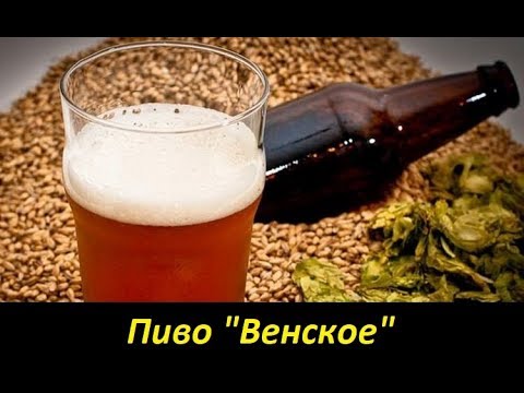 Видео: Пиво "Венское". Отличное пиво для начинающих пивоваров!