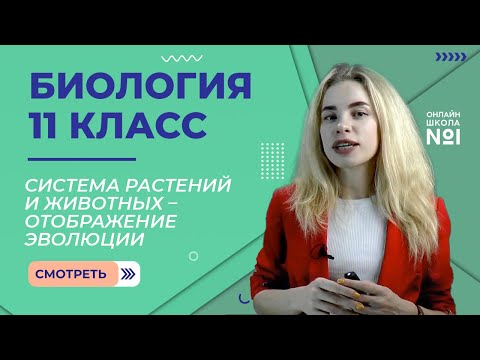 Видео: Система растений и животных – отображение эволюции. Видеоурок 8. Биология 11 класс