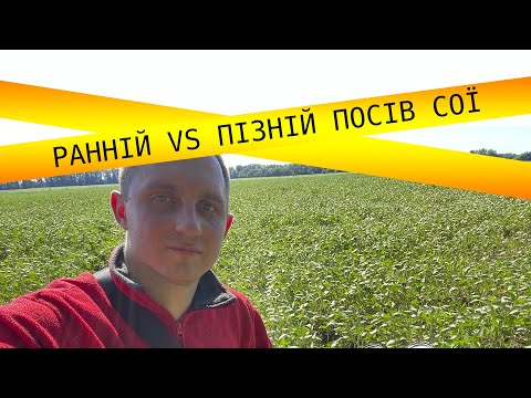 Видео: Різниця раннього і пізнього посіву сої