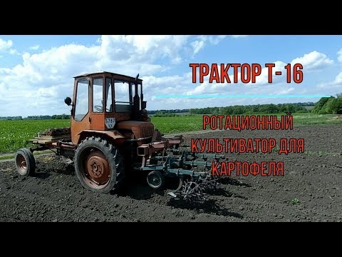 Видео: Трактор Т-16 с ротационным культиватором для картофеля
