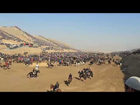 Видео: 18 ноября 2025 Зомын октош байтор бабанын аламан улагы #