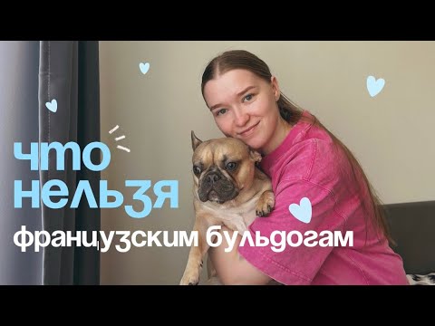 Видео: ЧТО НЕЛЬЗЯ ФРАНЦУЗСКИМ БУЛЬДОГАМ?| МОЙ ОПЫТ