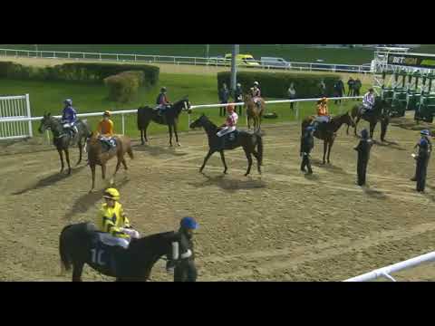 Видео: AT 1700 Вулверхэмптон, Великобритания