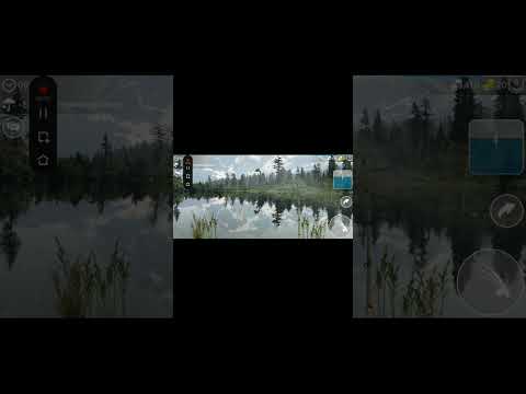 Видео: 29 сентября 2025 г.