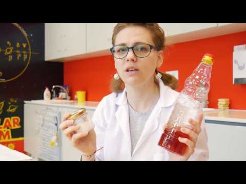 Видео: Кислород и Въглероден диоксид | #МузейкоВкъщи | Ден 29