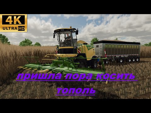 Видео: Farming Simulator 22_Тополь очень долго растет и этот день настал_срочно нужен второй трактор