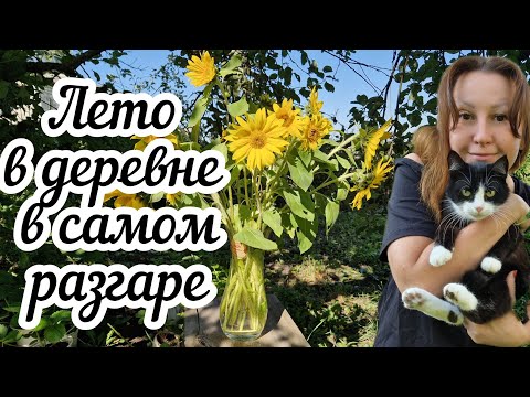 Видео: Чем я занимаюсь в деревне? Не скучно ли мне тут? Показываю всё как есть🏠🌻