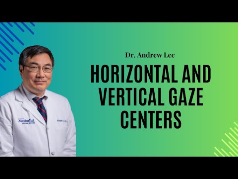 Видео: Горизонтальные и вертикальные центры взгляда