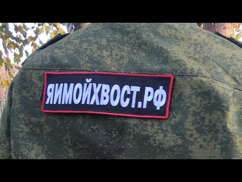 Видео: Чем дезинфецировать б/у клетку, вольер, будку, как избавиться от блох, и т. П.