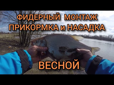 Видео: ФИДЕРНАЯ РЫБАЛКА ВЕСНОЙ в АПРЕЛЕ. ЛЕЩ в ПОЛОВОДЬЕ.