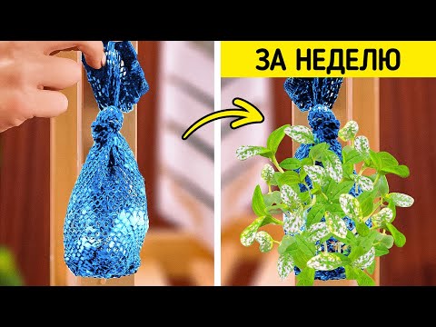 Видео: ГЕНИАЛЬНЫЕ САДОВОДЧЕСКИЕ ХИТРОСТИ ДЛЯ ВЕЛИКОЛЕПНОГО САДА🌱 ПРОСТЫЕ СОВЕТЫ ПО ВЫРАЩИВАНИЮ РАСТЕНИЙ