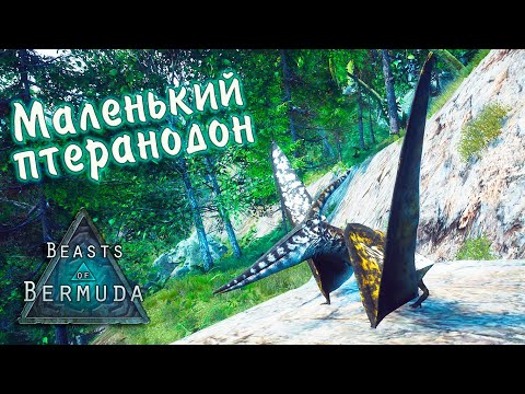 Видео: Птеранодон #3 Beasts of Bermuda