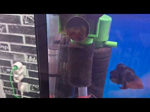 Видео: Фито фильтер неполадки и решение проблемы