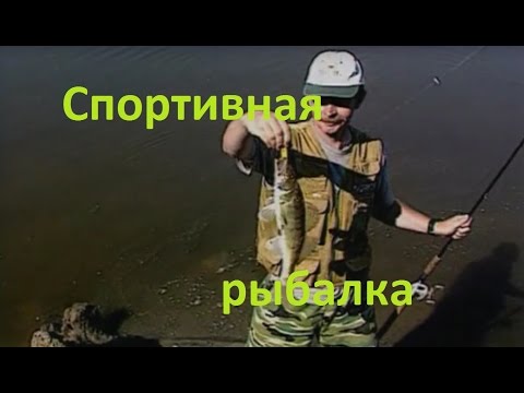 Видео: Диалоги о рыбалке - 176 - Спортивная рыбалка.