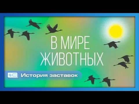 Видео: История заставок программы Николая Дроздова "В мире животных" (1968-2019)