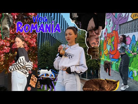 Видео: влог Румыния #5. Котокафе в Бухаресте. ОЧЕНЬ много КОТиков 🐈🐈‍⬛