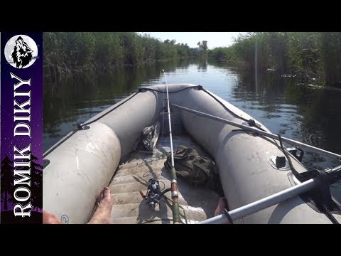 Видео: Рыбалка на змееголова (река Топар). Спиннинг, поставки.