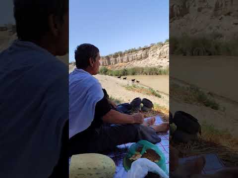 Видео: Рыбалка #отдих #4k #fishing #nature #природа 