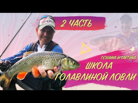 Видео: Как поймать голавля_Техника и тактика ловли_2 ЧАСТЬ