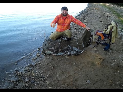 Видео: Рузское водохранилище!