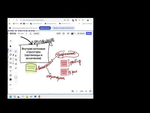 Видео: ЕГЭ биология немембранные органоиды цитология 10.10