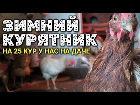 Видео: Зимний курятник на даче на 25 кур