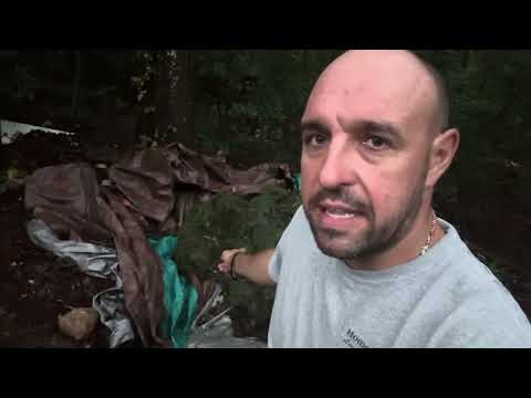 Видео: Как да направите компост у дома – Тайната за перфектни растения!