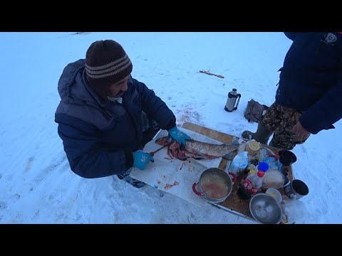 Видео: ЛОВИМ И СЪЕДАЕМ ЖИВЬЁМ!!! СУБУДАЙ