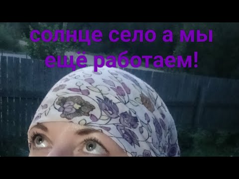 Видео: Козы, сок тыквы и яблочный, йогурт.