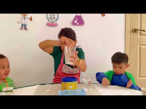 Видео: «Мен зерттеушімін» байқауы. №6 «Орман ертегі» б/б