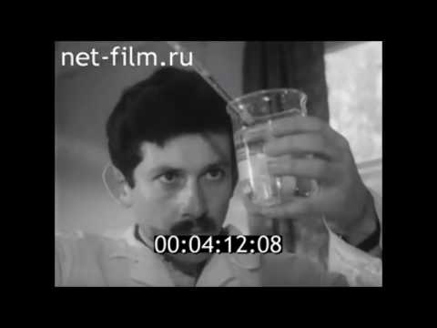 Видео: Планктон - стартовый корм для мальков рыбы. ЦентрНаучФильм