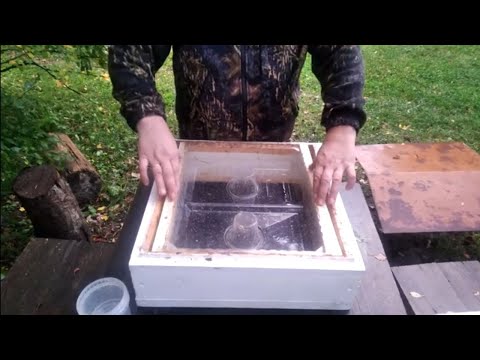 Видео: Пчеловодство - Осенний закорм пчел через кормушки Василёк