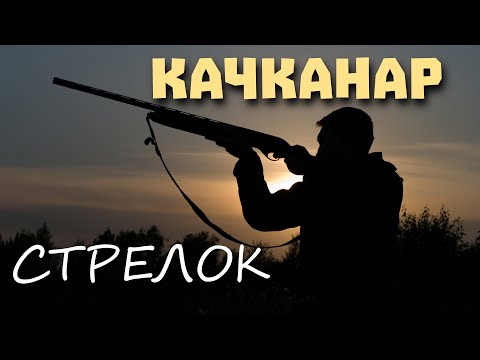 Видео: НЕУЖЕЛИ НАШИ ЛЕСА СТАНУТ ТИРОМ