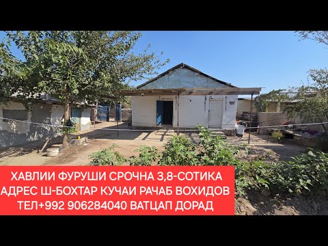 Видео: ХАВЛИИ ФУРУШИ СРОЧНА Ш-БОХТАР, ЧИСЛОИ 09,10,2025,СОЛ.