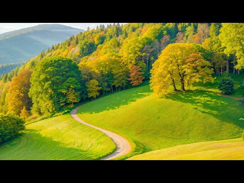 Видео: Расслабляющая музыка для снятия стресса, тревоги и депрессии 🌿 Исцелите тело и душу