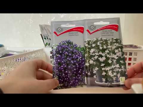 Видео: Семена цветов для сезона 2024