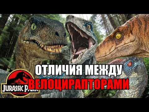 Видео: ОТЛИЧИЯ ВЕЛОЦИРАПТОРОВ В КАЖДОМ ФИЛЬМЕ ПАРКА ЮРСКОГО ПЕРИОДА